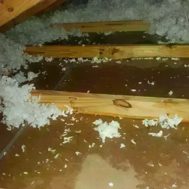 Attic Water Damage in Shanor-Northvue, PA