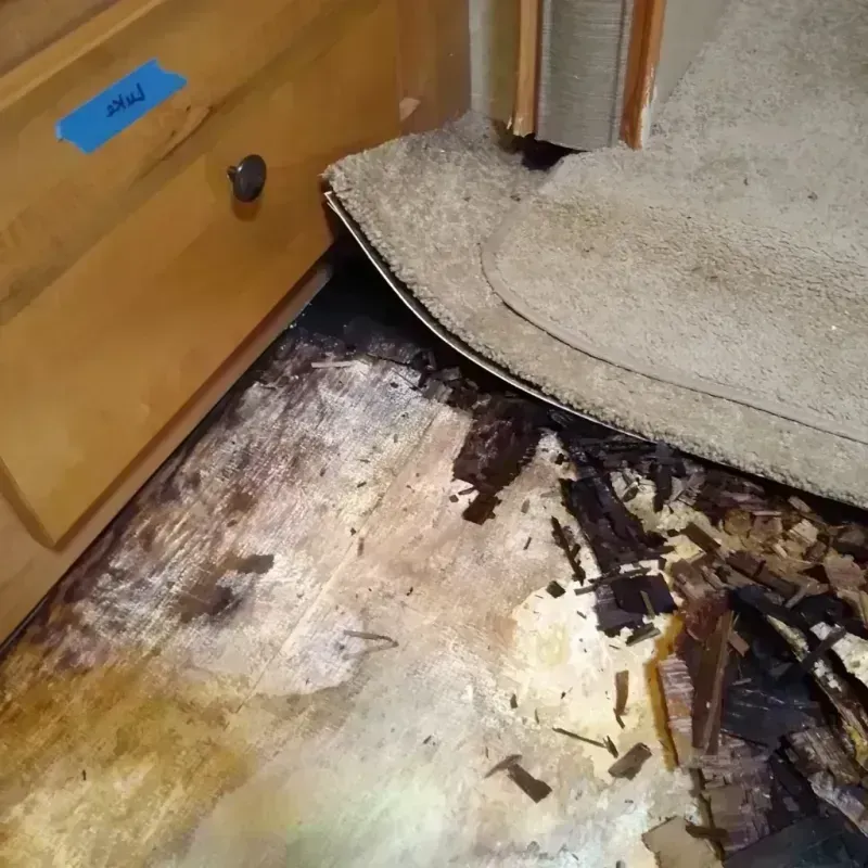 Best Wood Floor Water Damage Service in Shanor-Northvue, PA